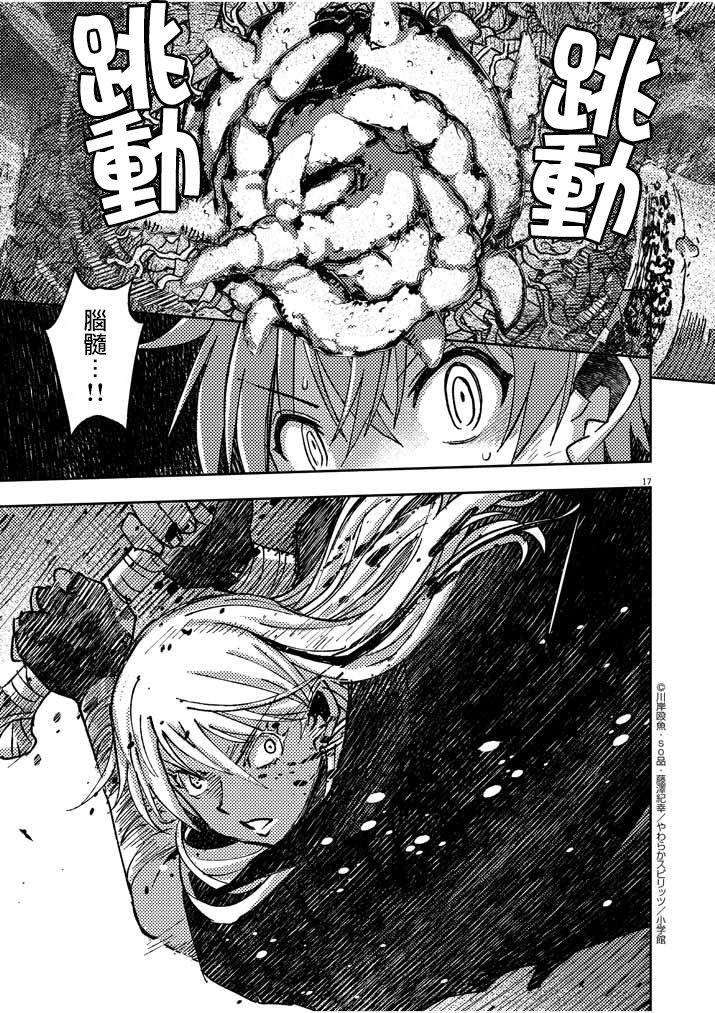 第17页