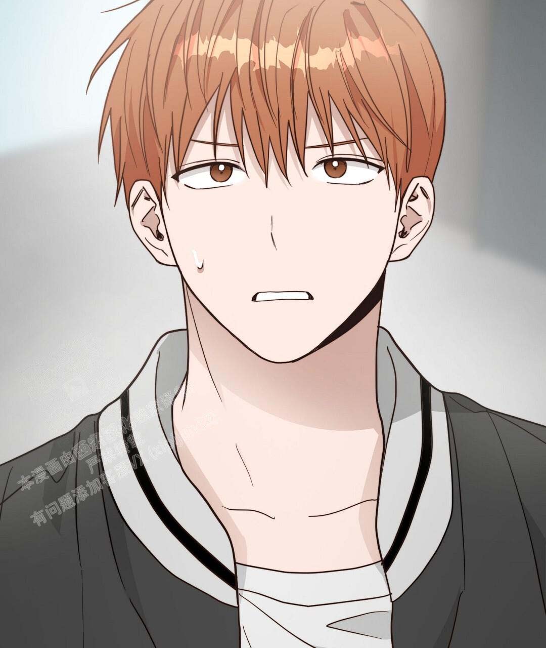 第116页