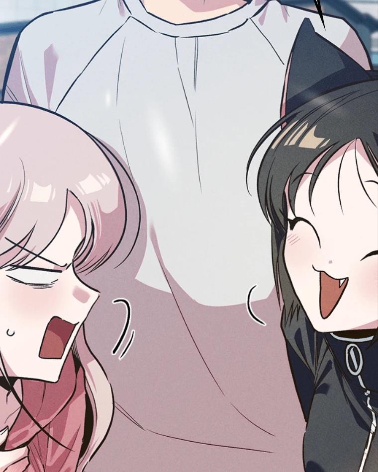 第204页