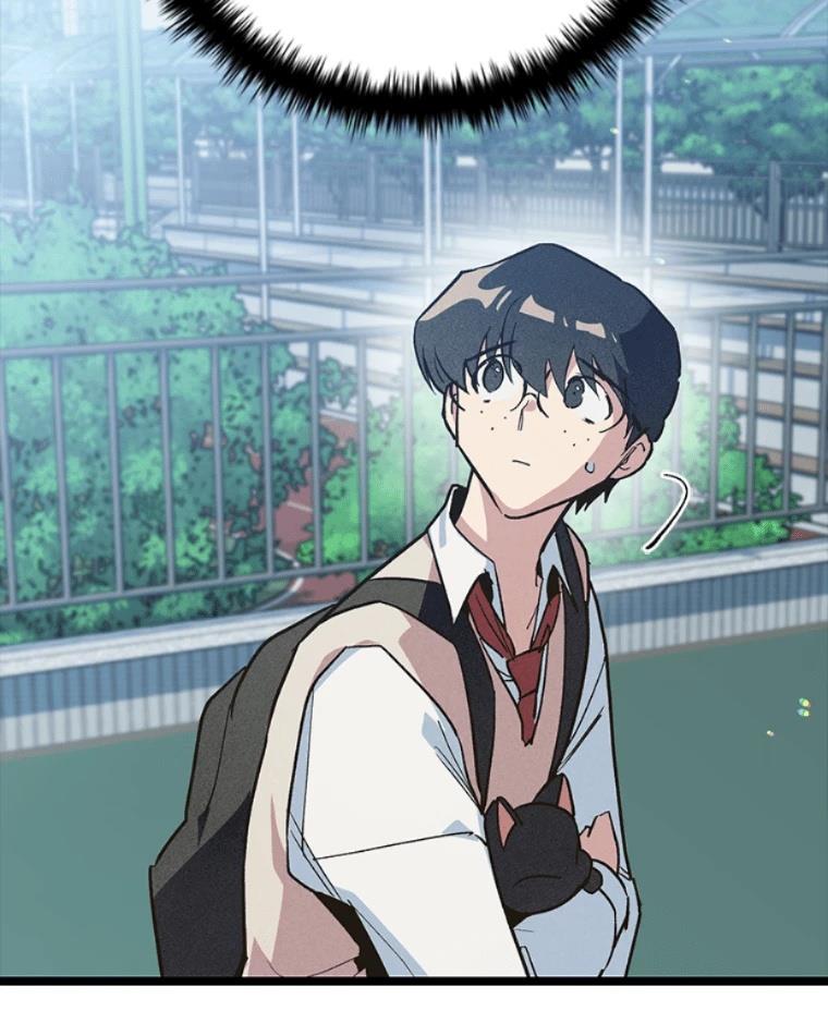 第243页