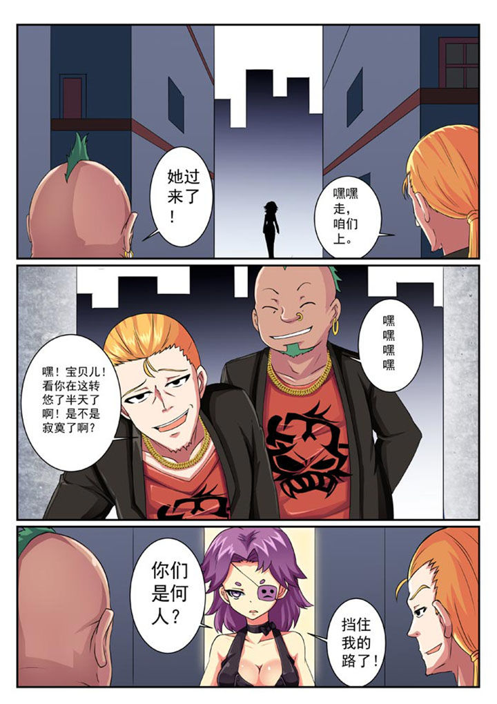 第3页