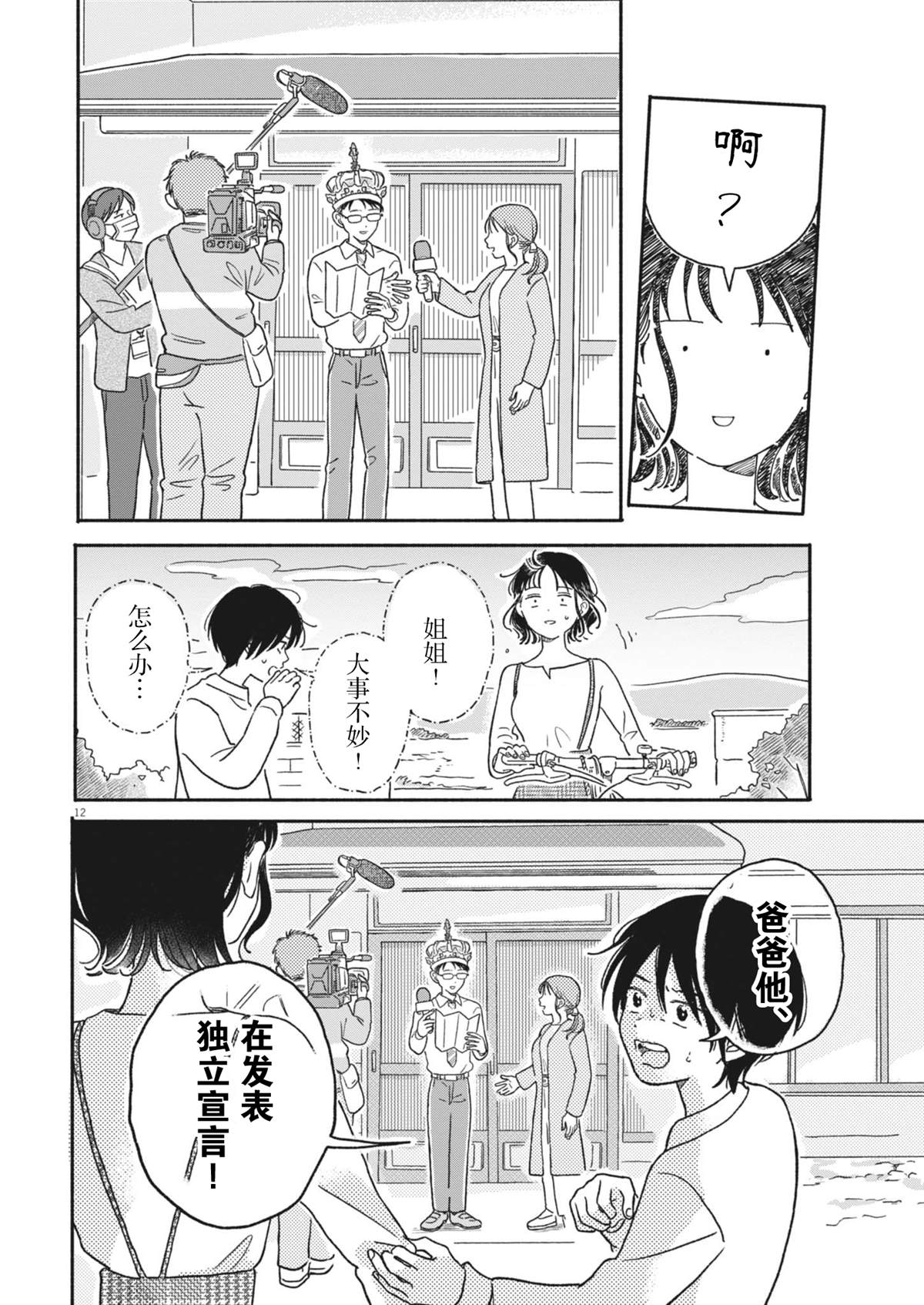 第12页