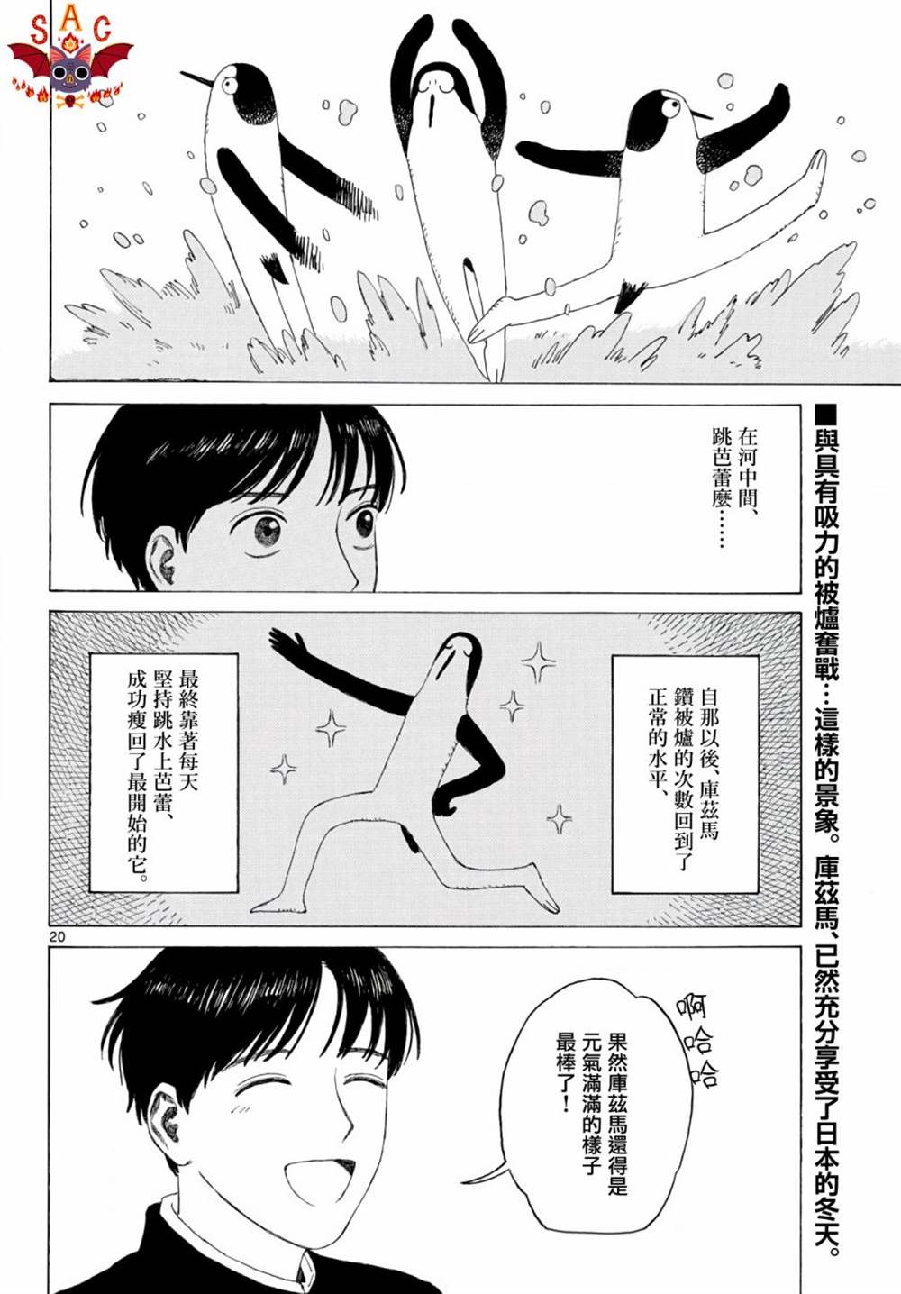 第20页