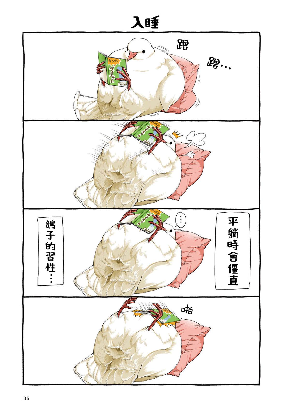 第4页