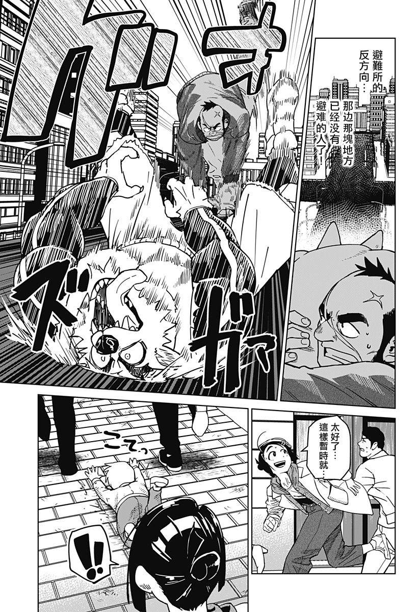 第33页