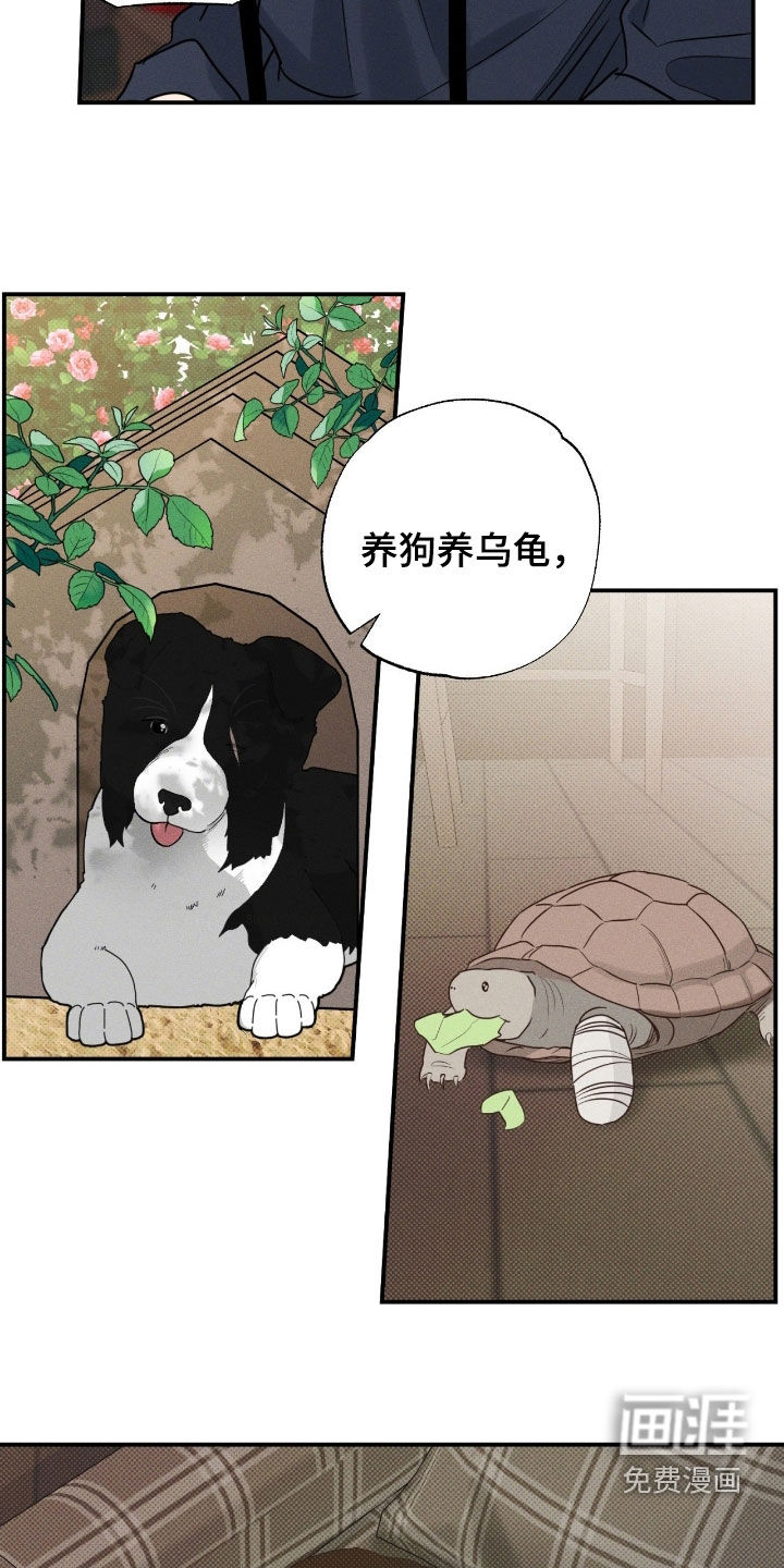 第41页